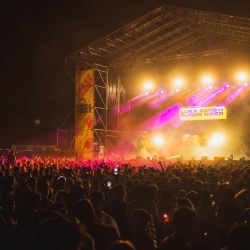 MEDITERRANEA FESTIVAL