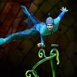 Cirque du Soleil