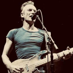 Sting