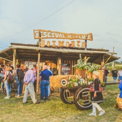 FESTIVAL DE LA LUZ