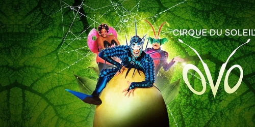 Cirque du Soleil