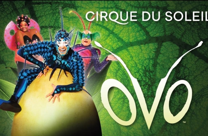 Cirque du Soleil