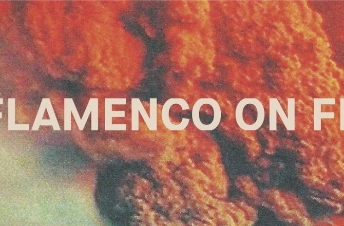 Flamenco On Fire